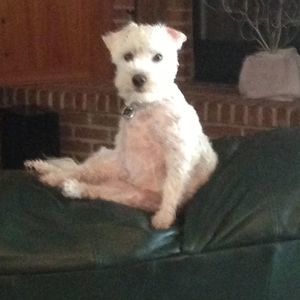 Meet your Posher, Kelly